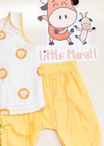 DSC_0781-3-1-e1661495486111-355x500