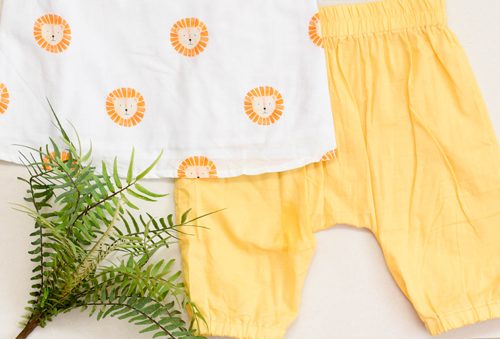 DSC_0781-3-2-e1661495576145-500x339